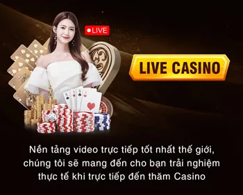 Cam kết của chúng tôi